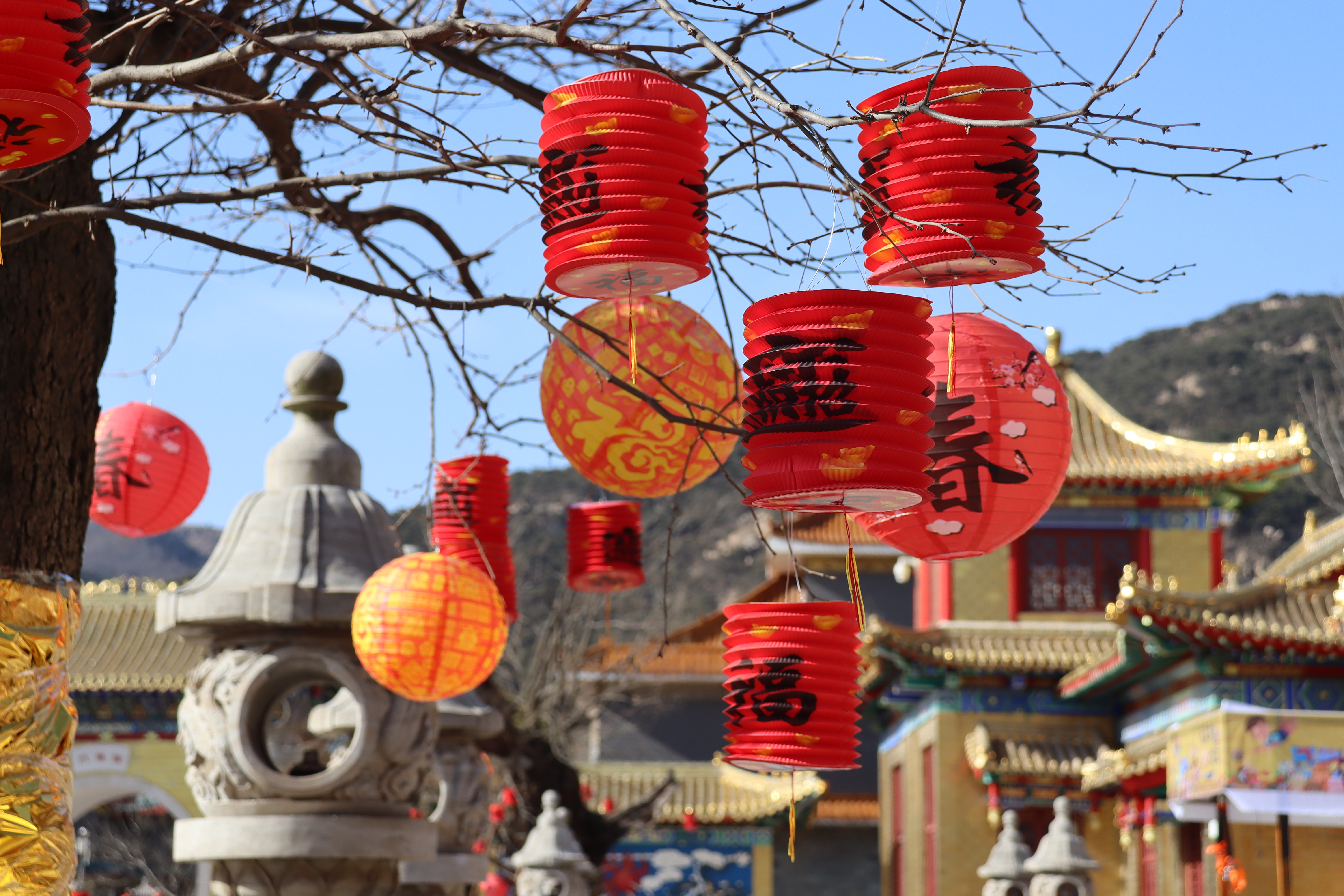 �t�\(y��n)��ɽ���´���R��(hu��)